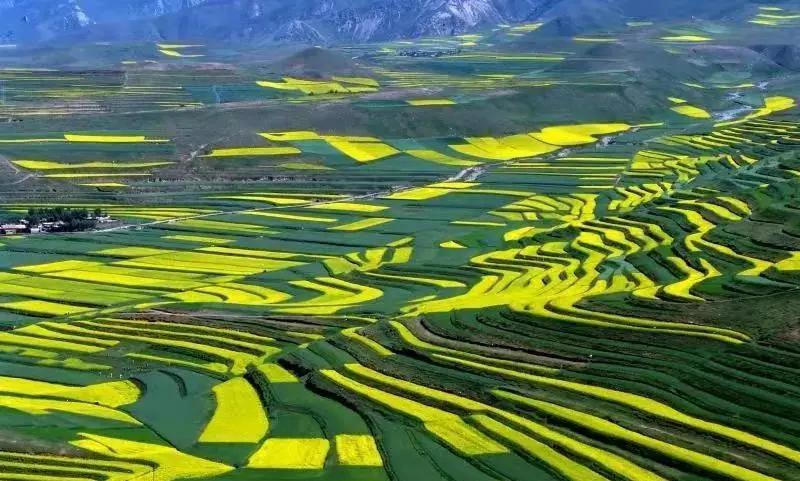 1630396132837212.jpg 微信图片_20210831154019.jpg