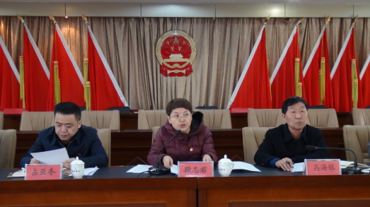 湟源县召开全县扫黑除恶专项斗争部署会议